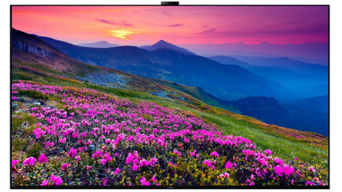 4К OLED  65" A95K (XR-65A95K) IP