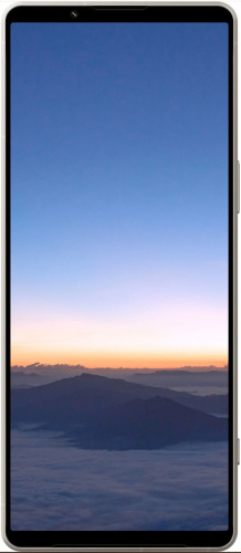 Смартфон Sony Xperia 1 V 12/512Gb Dual 5G Цвет Серебро XQDQ72/S фото 2