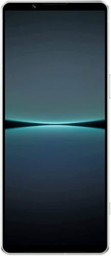 Смартфон Sony Xperia 1 IV 12/512Gb Цвет Белый XQ-CT72/W фото 2